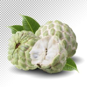 Frozen Custard Apple